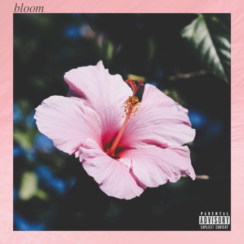 Bloom