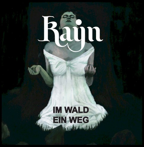 Im Wald ein Weg