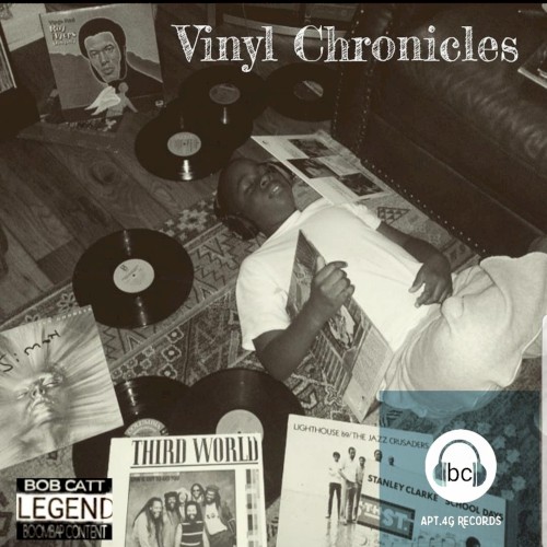 VINYL CRONICLES