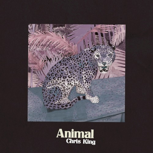 Animal