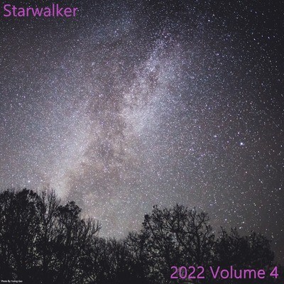 2022 Volume 4