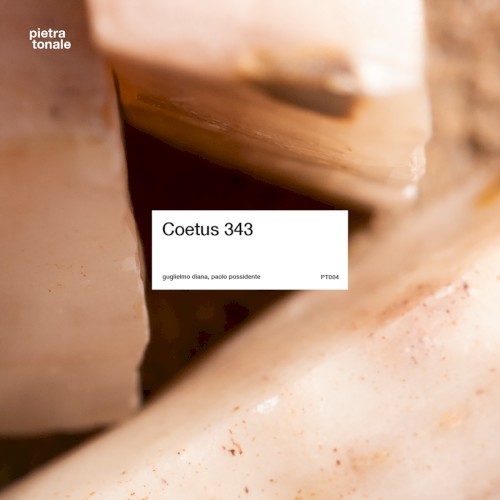 Coetus 343