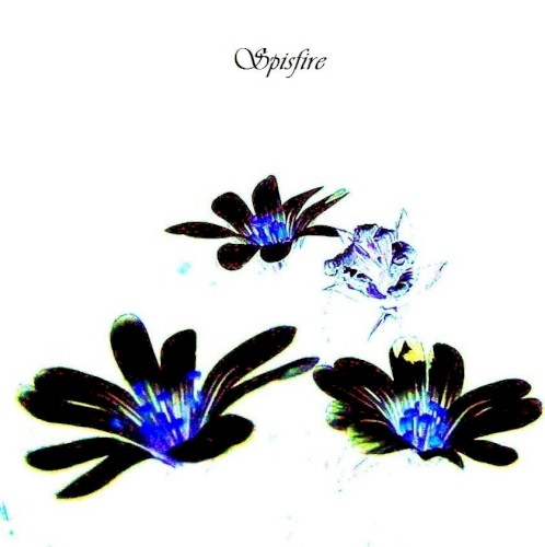Black Flower