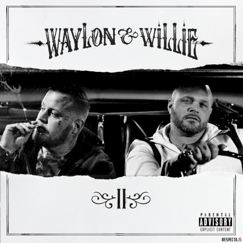 Waylon & Willie II