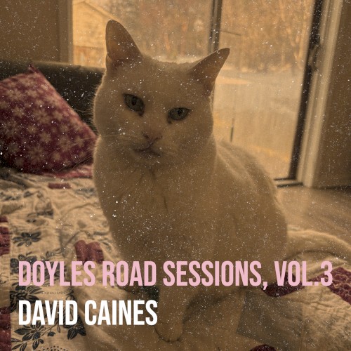 Doyles Road Sessions, Vol.3