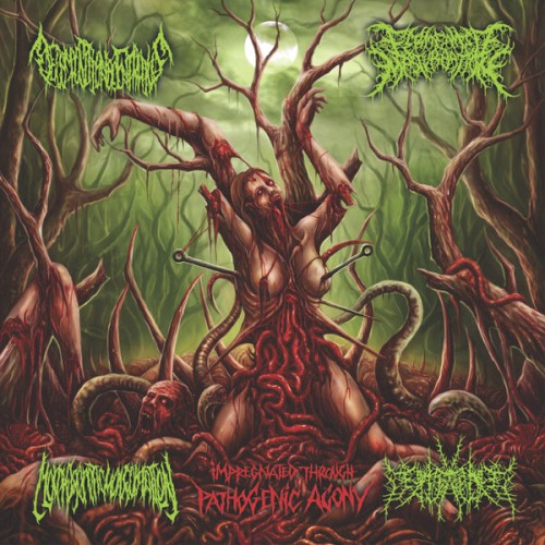 Impregnated Through Pathogenic Agony
