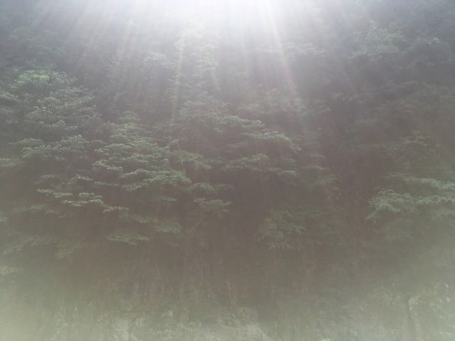 Shinpeki (A Bond for Qoosui)