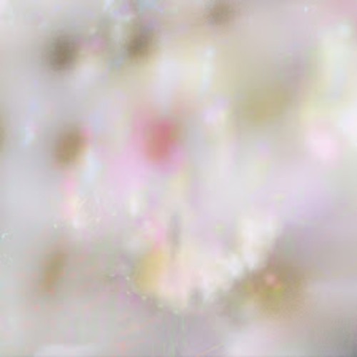 ✧˖°. dewdrops .°˖✧