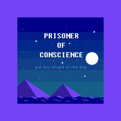 Prisoner of Conscience