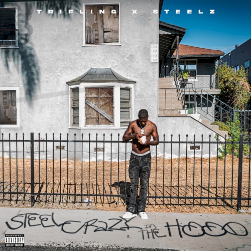 Steel Crazy In The Hood