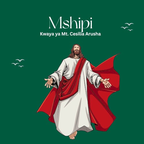 Mshipi