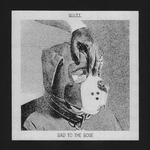 Bad to the Bone