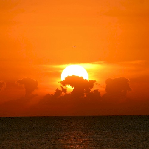 Good Morning Sunshine: Uplifting Piano Playlist