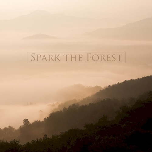 Spark the Forest