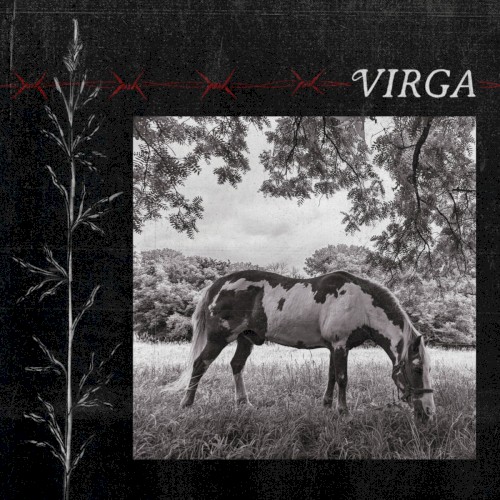 Virga