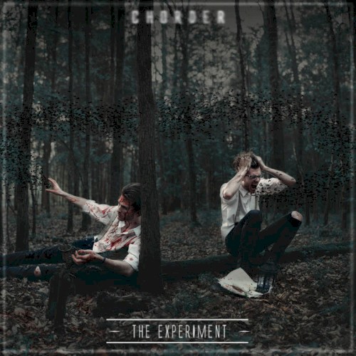 The Experiment
