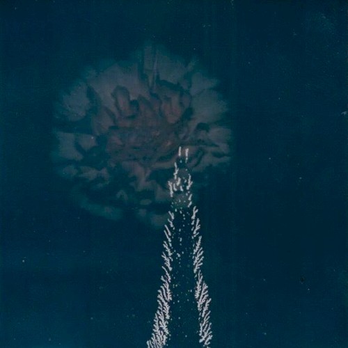 Leaves Painted in a Darker Blue