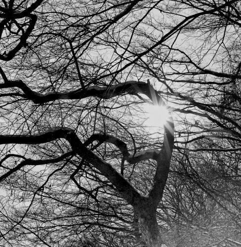 Pray for the Hollow Sun