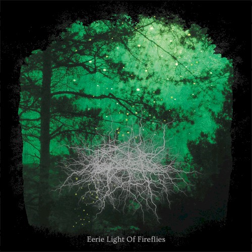 Eerie Light of Fireflies