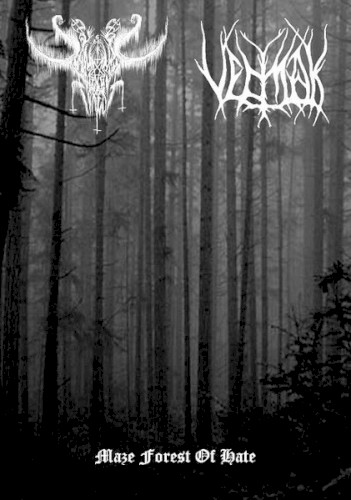 Maze Forest of Hate