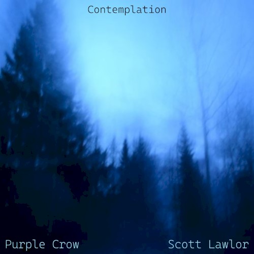 Contemplation