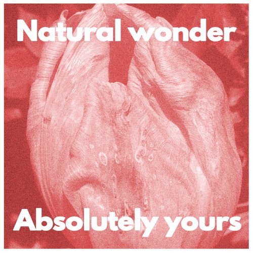 Natural Wonder