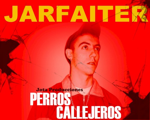 Perros callejeros