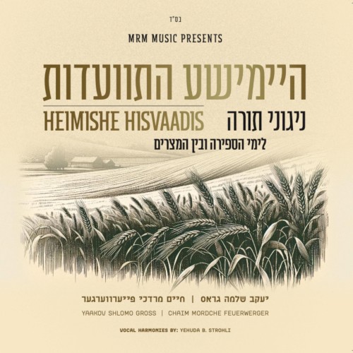 Heimishe Hisvaadis