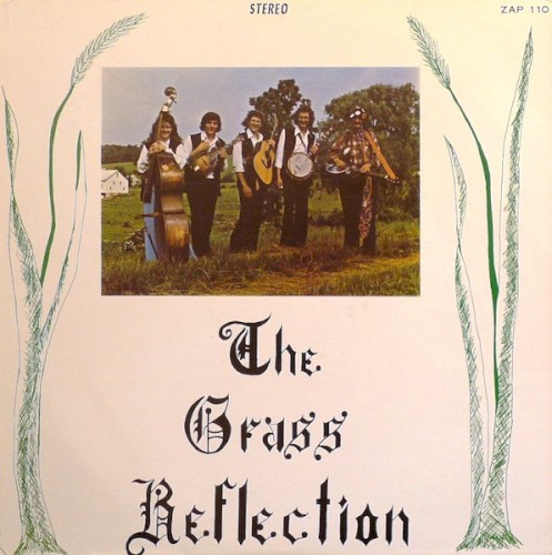 The Grass Reflection
