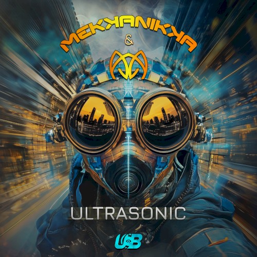 Ultrasonic