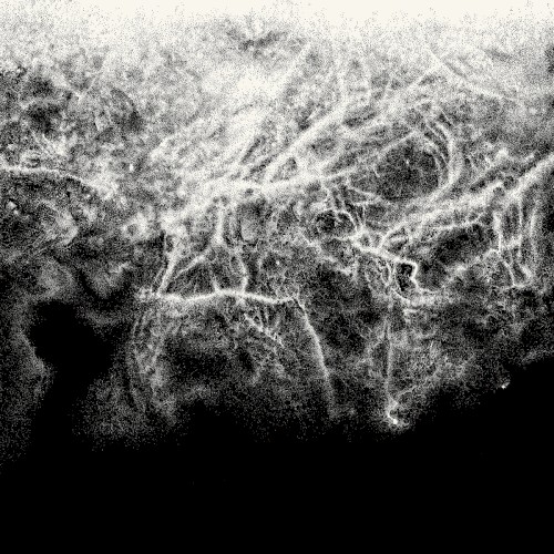 Where Nothing Grows