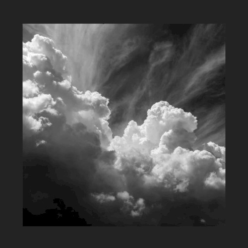 ISOLATED Day 8