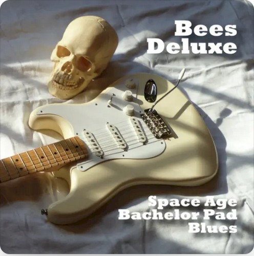 Space Age Bachelor Pad Blues