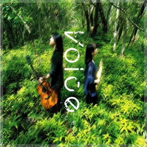 Voice