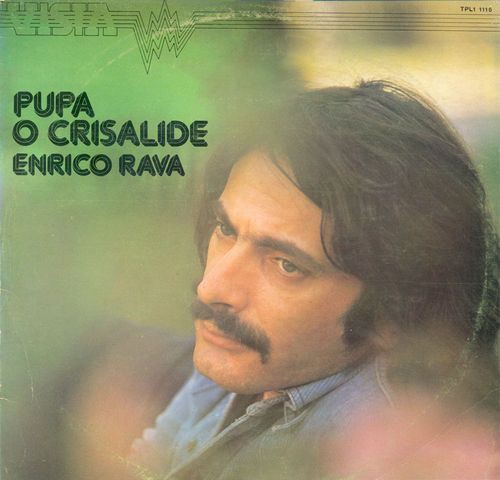 Pupa o crisalide
