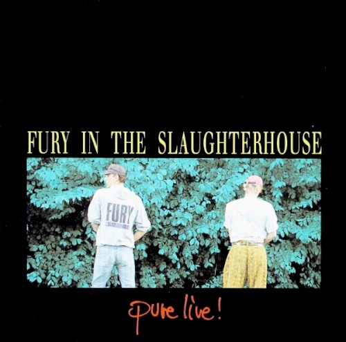 Pure Live!