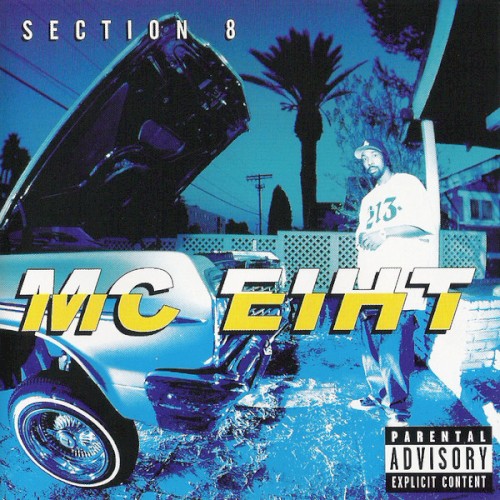 Section 8