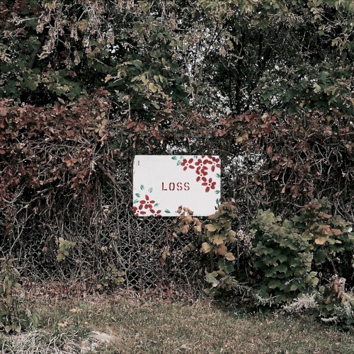 Loss