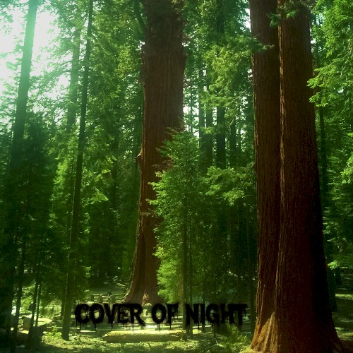 Cover of Night