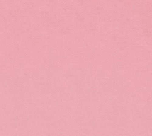 The Pink Album