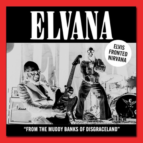 From the Muddy Banks of Disgraceland