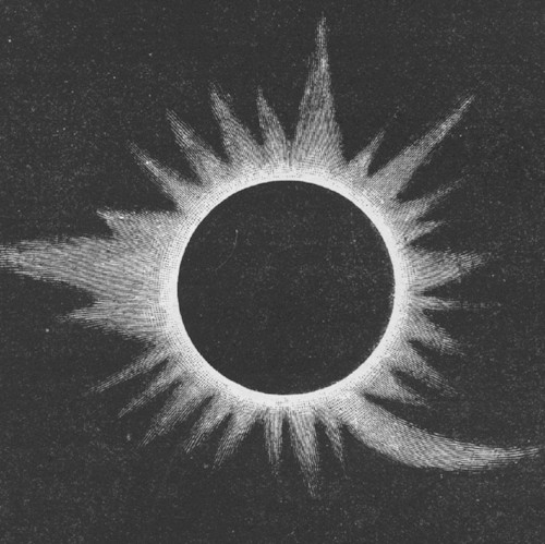In Light