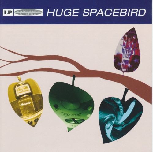Huge Spacebird