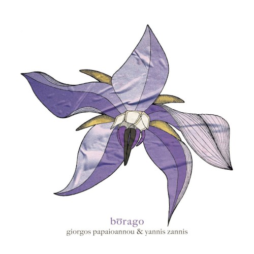Borago