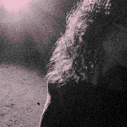 venturing &ndash; Ghostholding