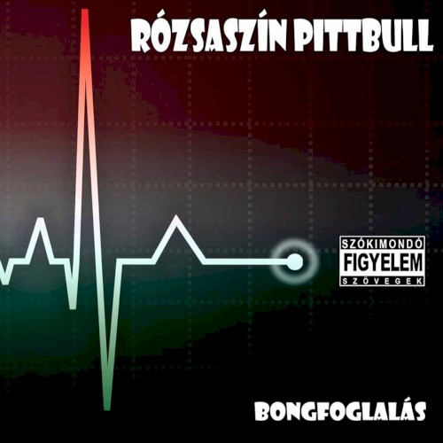 Bongfoglalás