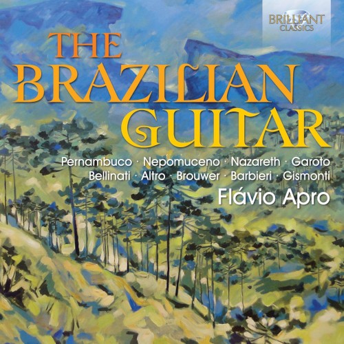 The Brazilian Guitar