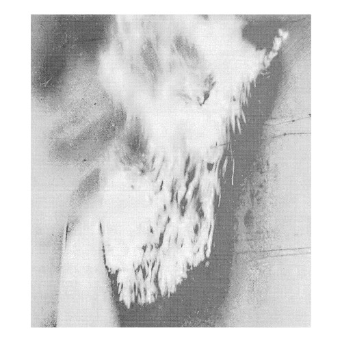 The Virility Of Flames