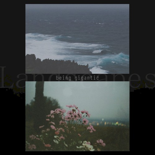 Landscapes