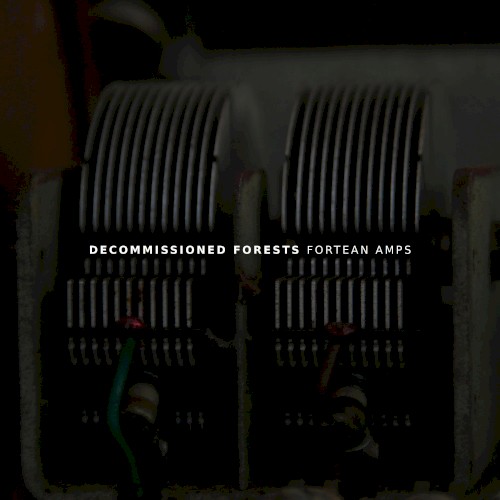 Fortean Amps
